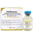 Amphotericin Blog Image 2