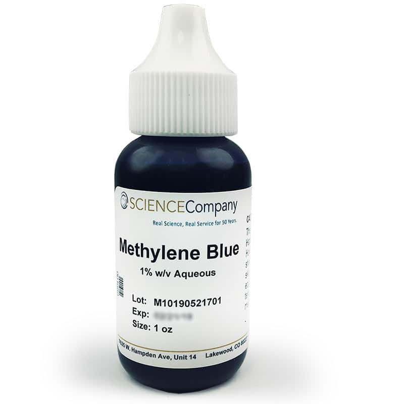 Methylene Blog Image 1