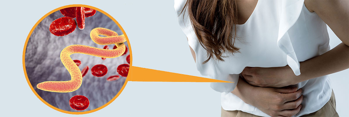 Antiparasitic - Human Medicine Antiparasitic - Human Medicine