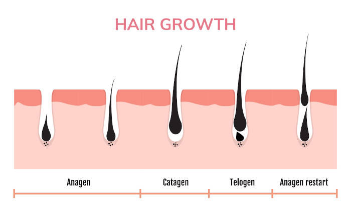 Finasteride Image 1